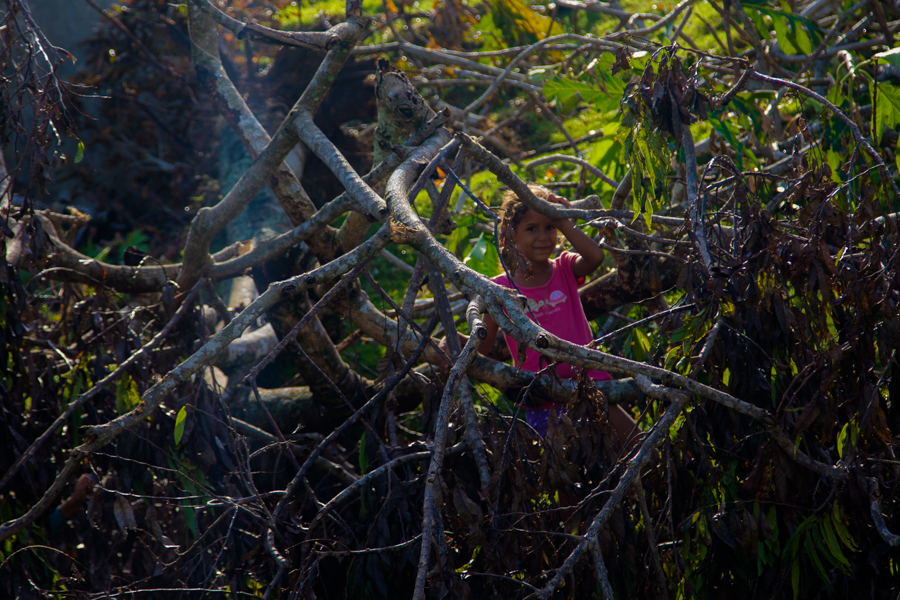 Una niña que juega entre árboles caídos (Foto: Ismario Rodríguez)