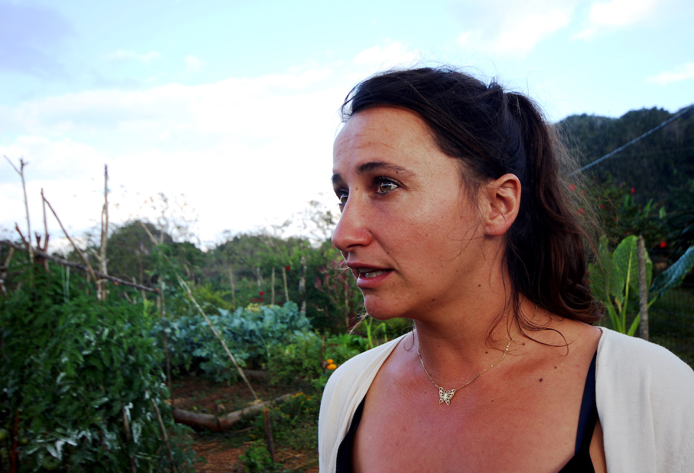 Desde que está en Viñales, Melissa prefiere cosechar al ritmo de la naturaleza (Foto: Alba León Infante)